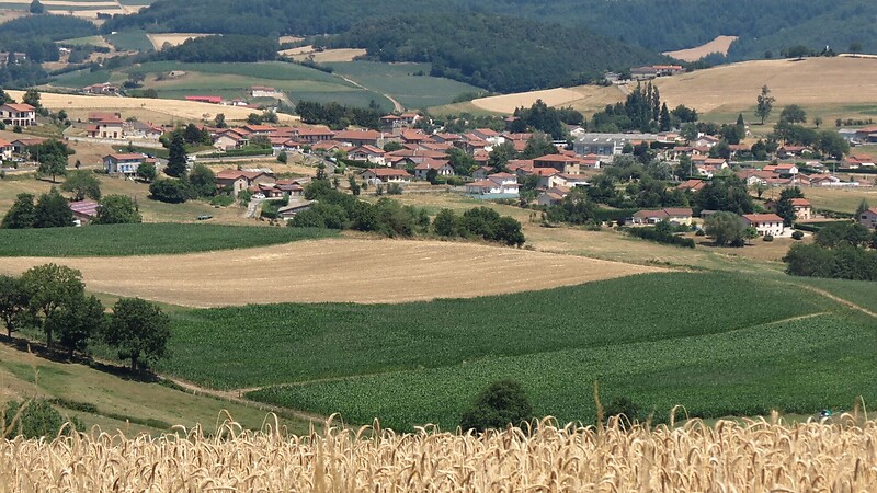 Térkép