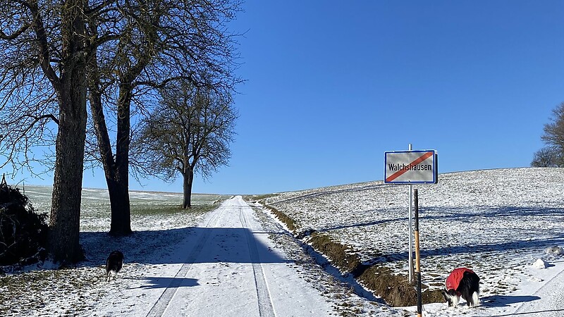 Térkép
