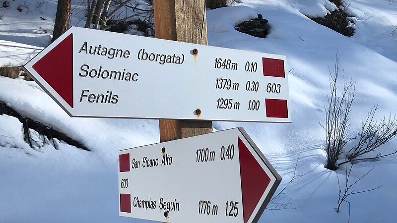 Térkép