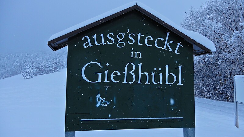 Térkép