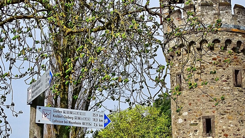 Térkép