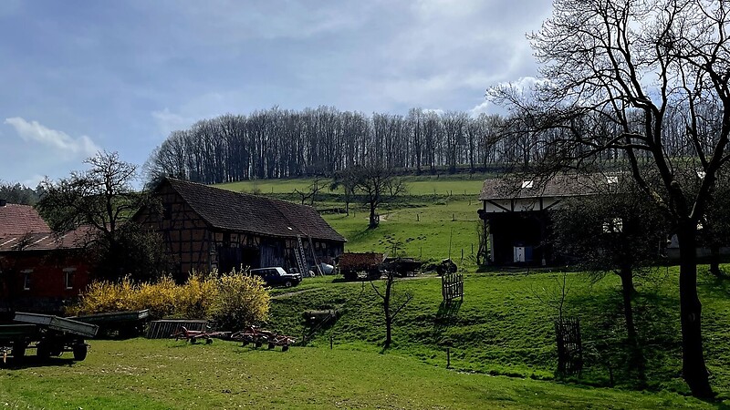 Térkép