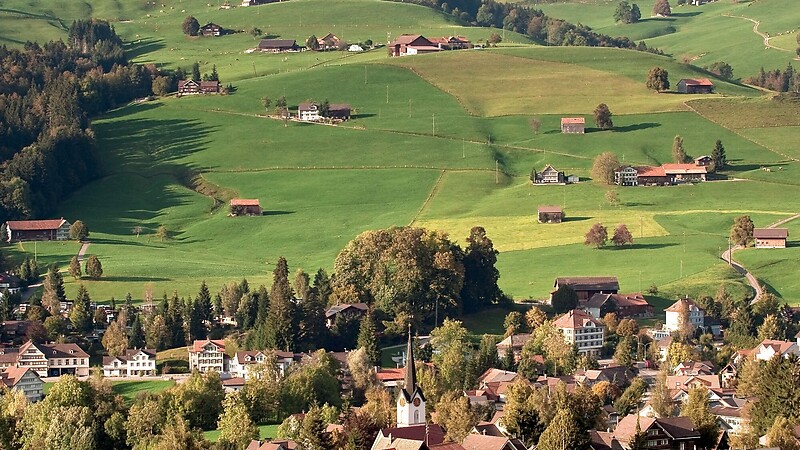 Térkép