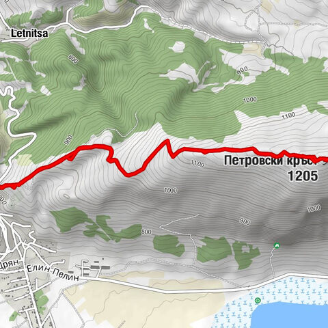 Térkép