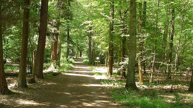 Térkép