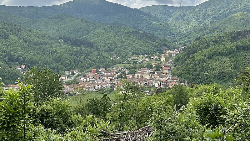 Térkép