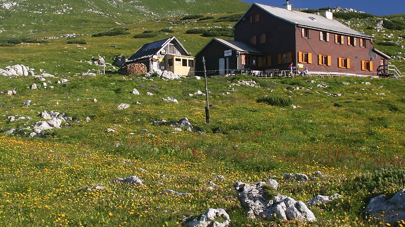 Térkép