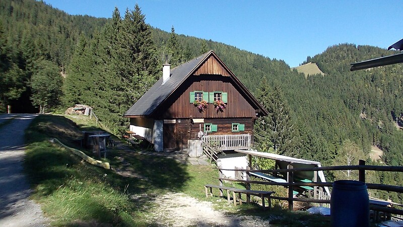 Térkép
