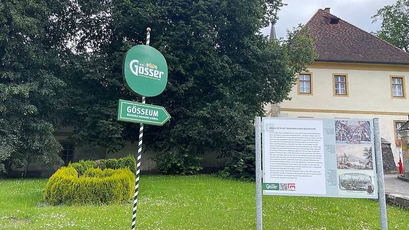 Térkép