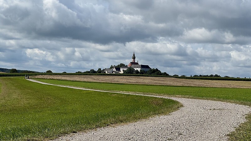 Térkép