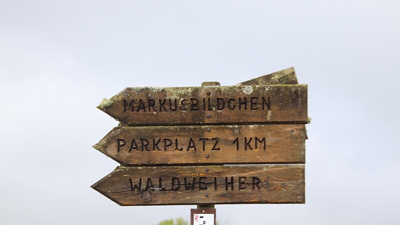 Térkép