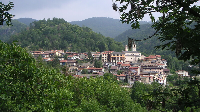 Térkép