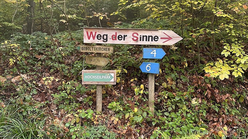 Térkép