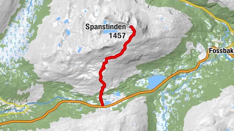 Térkép