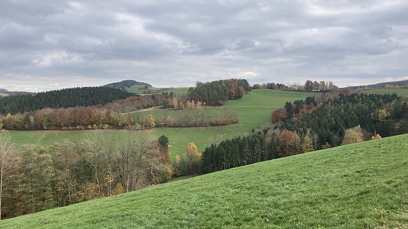 Térkép