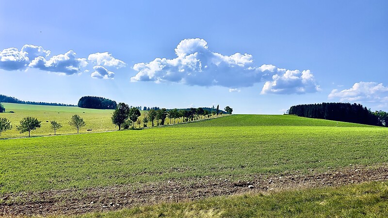 Térkép
