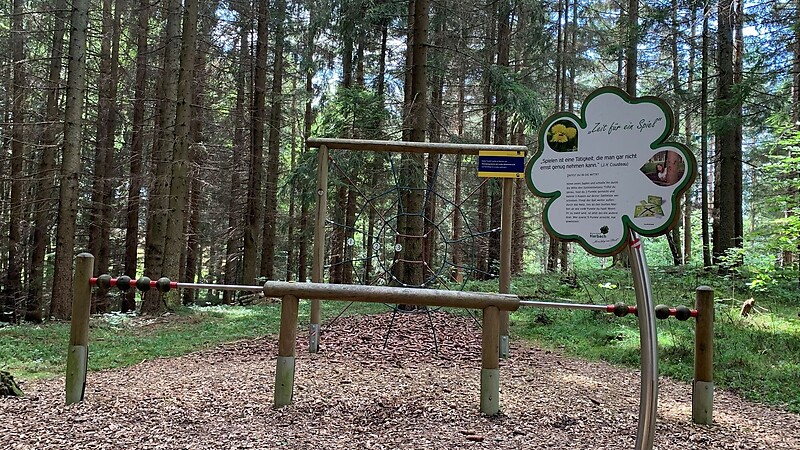 Térkép