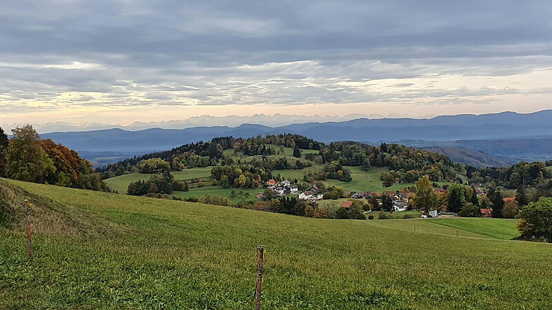 Térkép