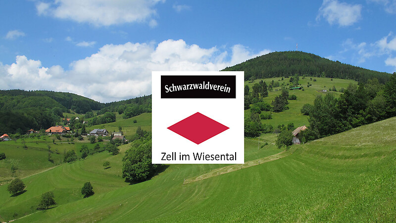 Térkép