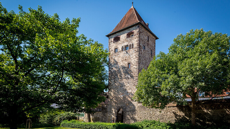 Térkép
