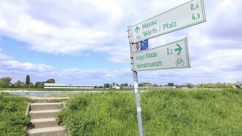 Térkép