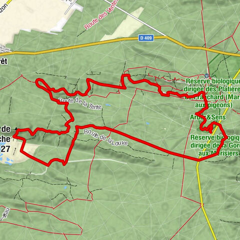 Fontainebleau - Caverne Ténébreuse - Antre des Druides - Rocher de Corne-Biche