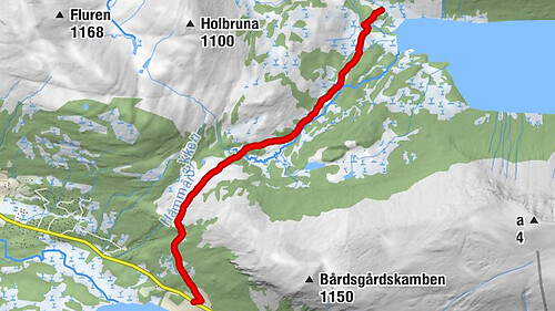 Bårdsgarden - Vassendsetra
