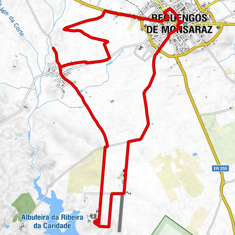 Reguengos de Monsaraz - Igreja Matriz de Santo António - Capela de Nossa Senhora dos Remédios - Aloendro