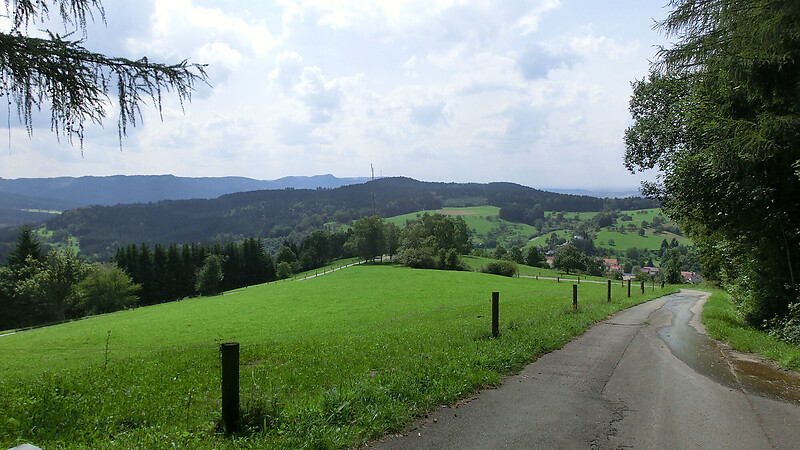Térkép