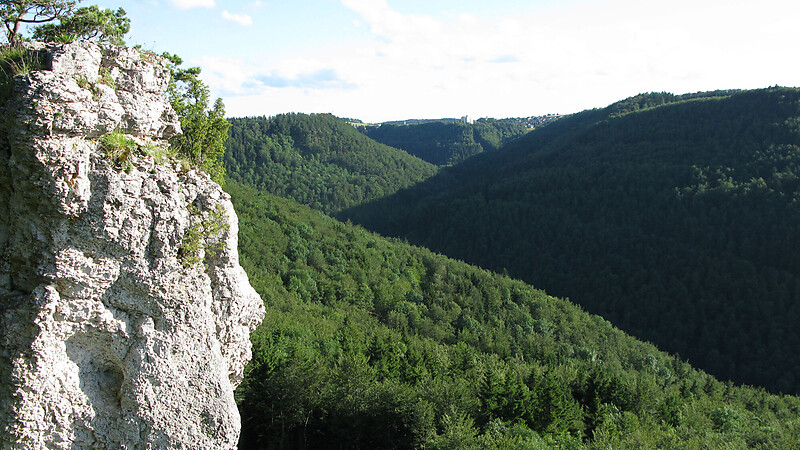 Térkép
