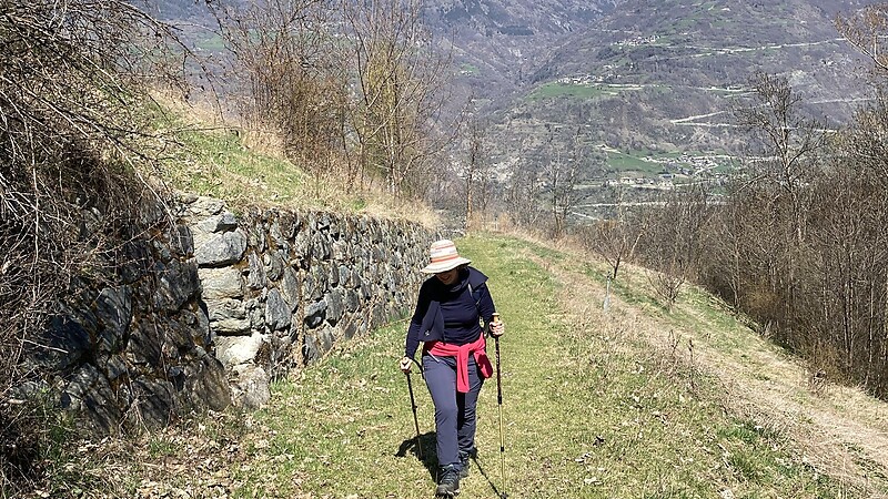 Térkép