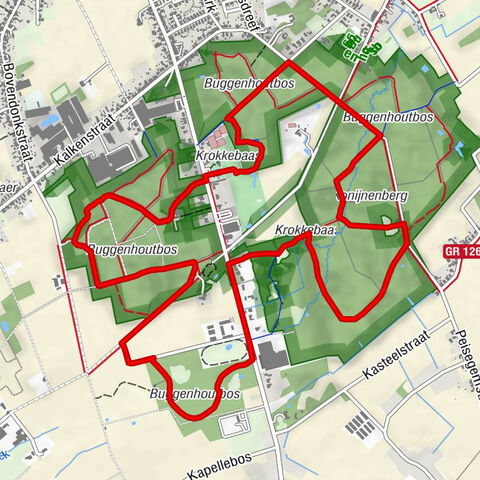 Buggenhout