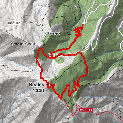 Genalguacil - Real Chico - Reales - Casares