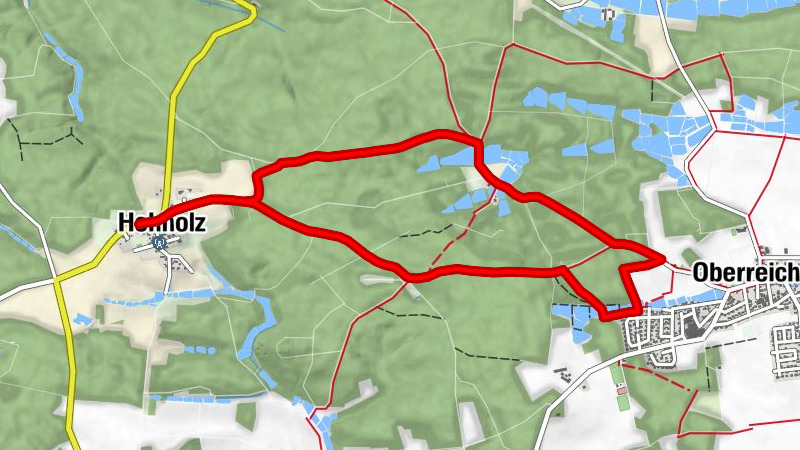 Térkép