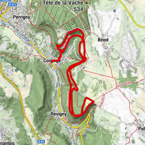 Église de l'Assomption - Conliège - Ermitage Sainte-Anne - Biolay