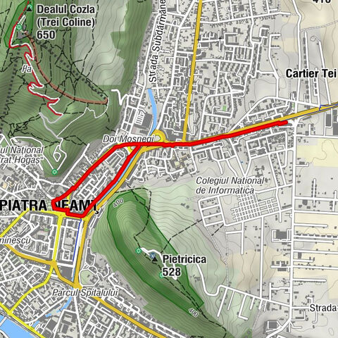 Piatra Neamț - Sf Mina