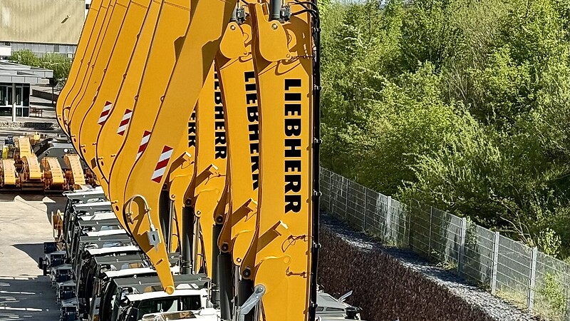 Térkép