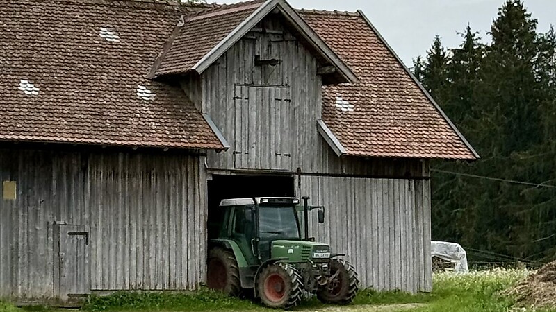 Térkép
