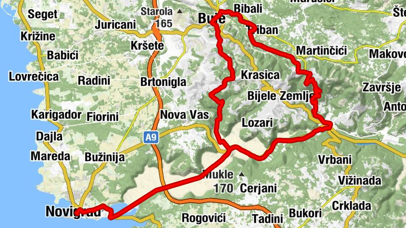 Térkép