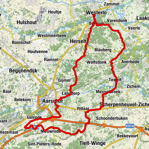 Westerlo - 't Hof Langdorp - Sint-Michielskerk - Onze-Lieve-Vrouw Ten Hemel Opgenomenkerk