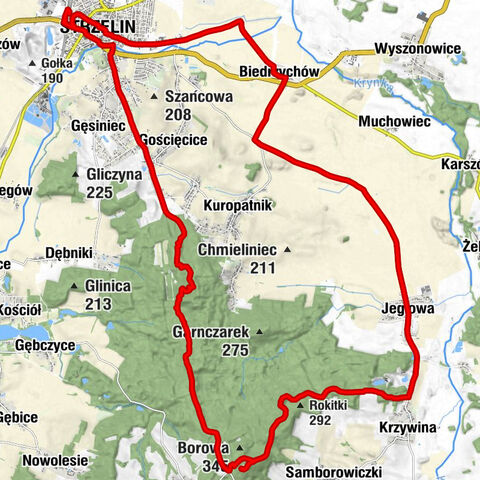 Strzelin - Szerzawa - Gromnik - Miecznik