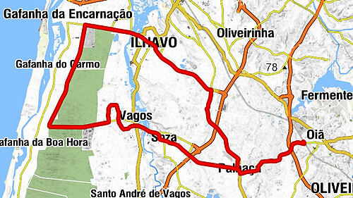 Oiã - Galo e Touro 2 - Igreja de Salgueiro