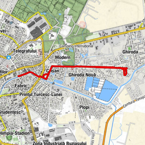 Timișoara - Insula - Modern