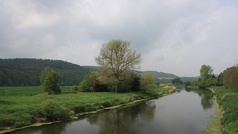 Térkép