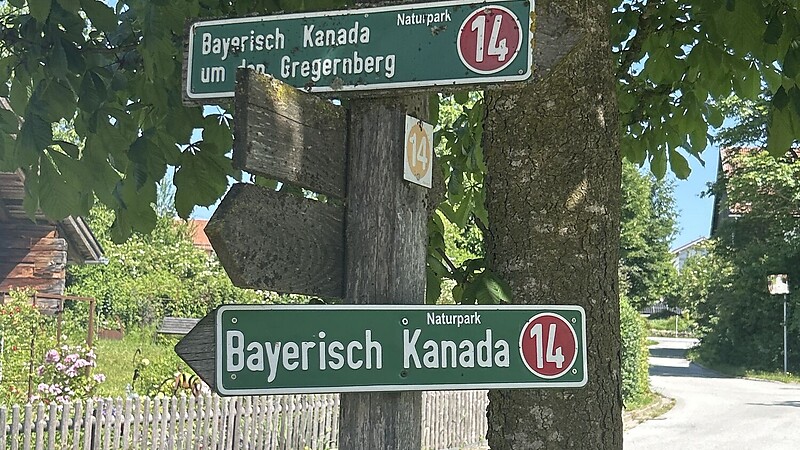 Térkép