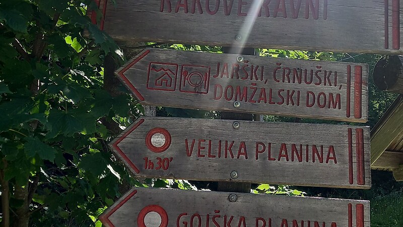 Térkép