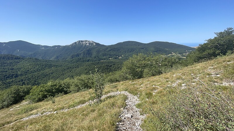 Térkép