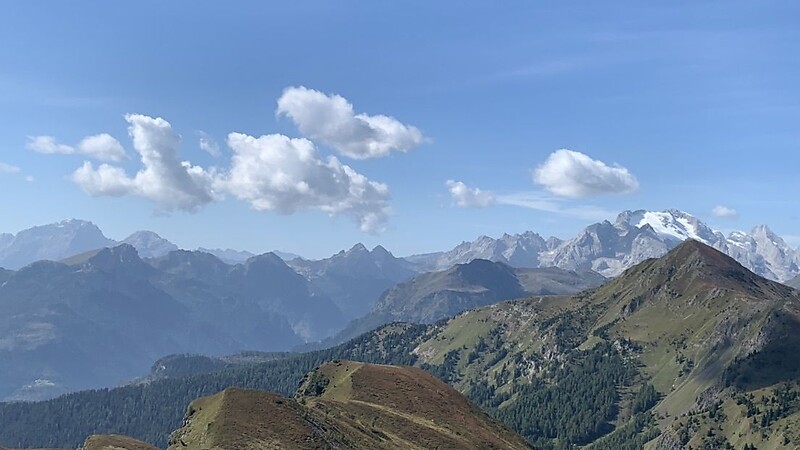 Térkép