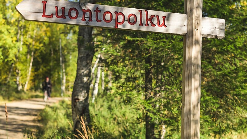 Térkép