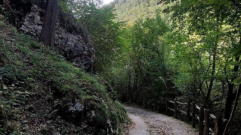 Térkép